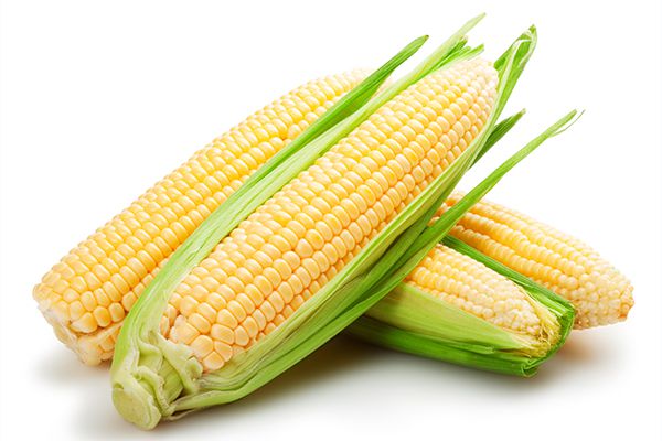 玉米有减肥的功效吗 辅助瘦身效果佳